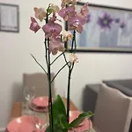 Arteg Apartments - Premium